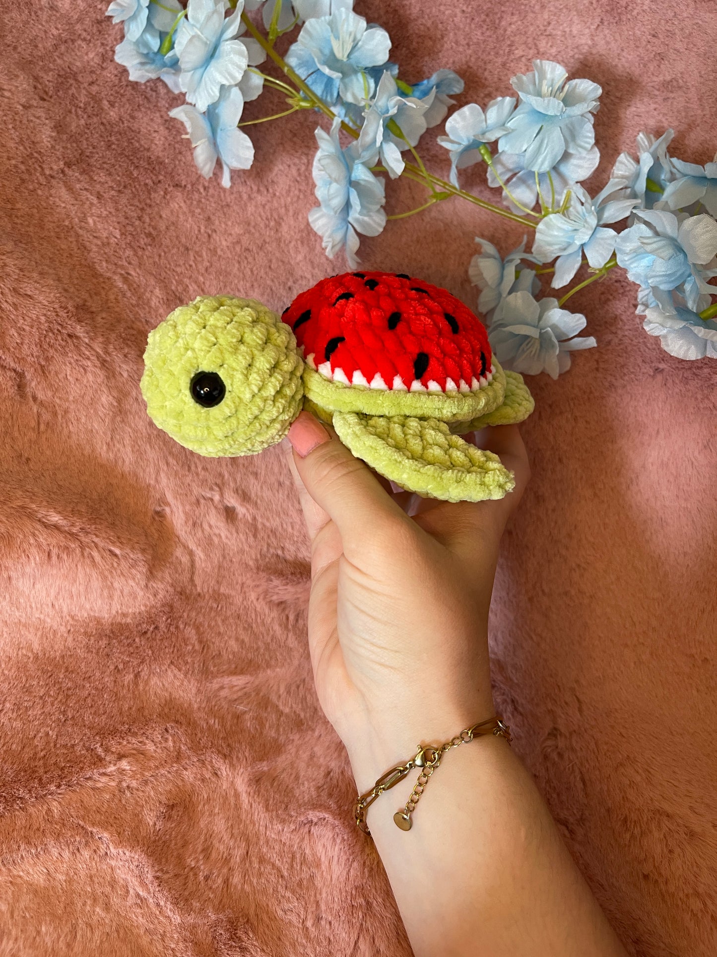 Tortue Pastèque 🍉